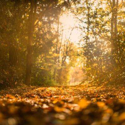 大发dafa888下载手机版