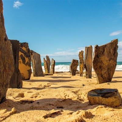 任你博下载手机版