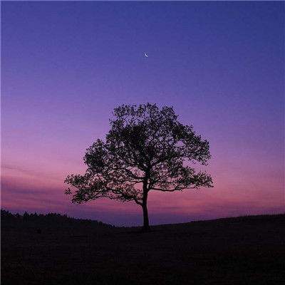 爱游戏全站app手机版