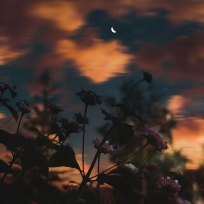 域网棋牌游戏下载手机版