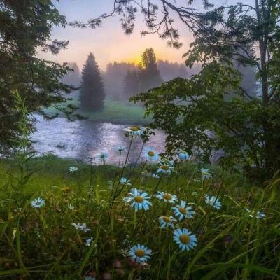 江南app手机app下载